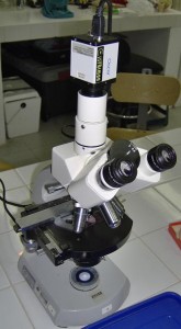 Microscopio utilizado en la captura de las preparaciones (Zeiss - Standard 14)