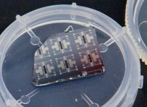 arios prototipos del transistor sináptico pueden verse en este chip de silicio. Imagen: Eliza Grinnell. Fuente: SEAS Communications.